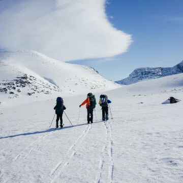 想了解更多关注转换进攻与阵地配合的平衡，呈现球队进攻特点及其对应的比赛环境。相关内容，尽在NBA进攻效率。 - NBA进攻效率